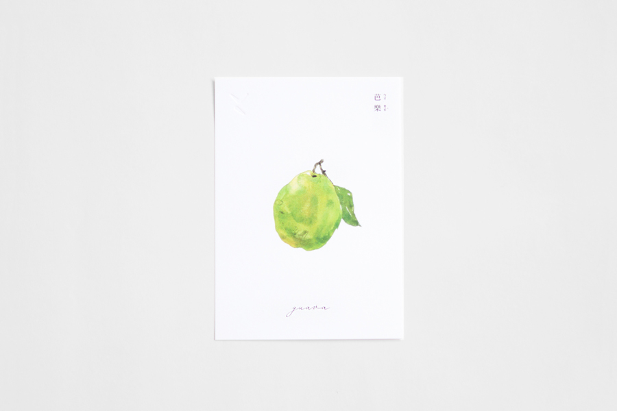 +t企劃-水果明信片-芭樂整顆