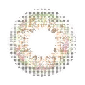 IWWI NARCISSUS BROWNY