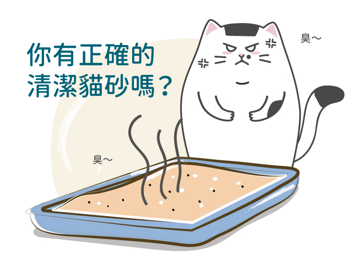 你有正確的清潔貓砂嗎？
