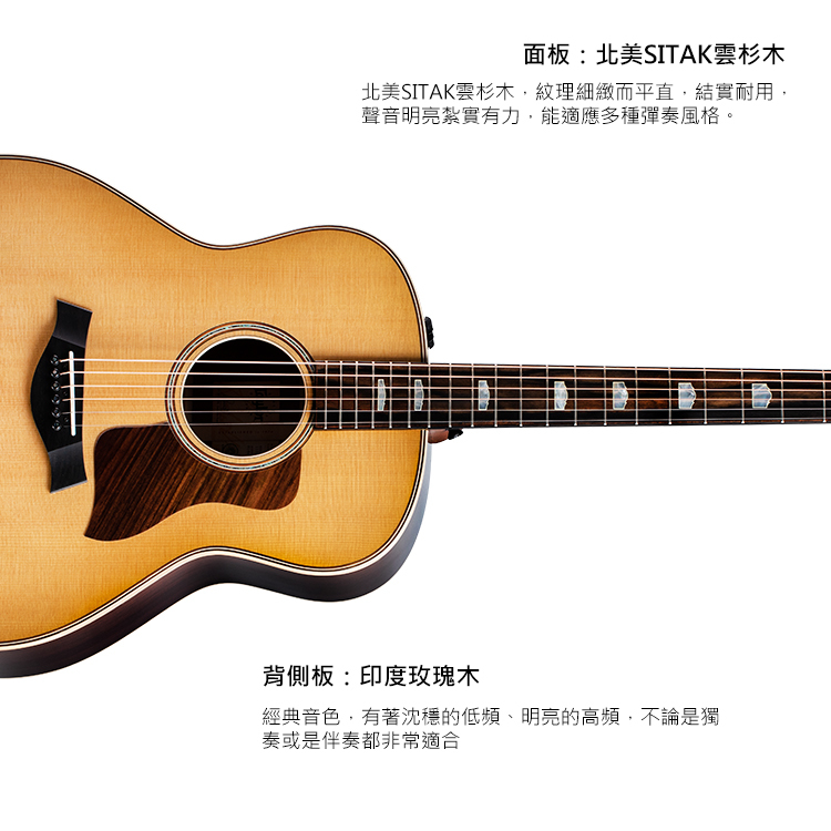 Taylor 818e電木吉他 TLGF-818-E