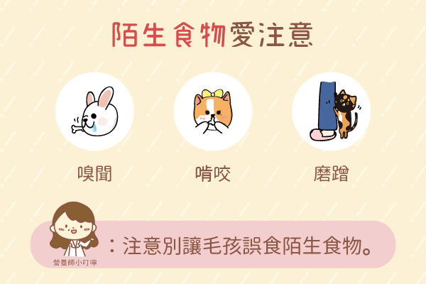寵物亂吃