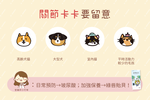 關節保養聖品