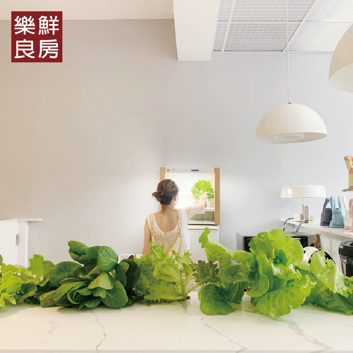 樂鮮良房-鮮氧智慧田，粉紅人妻CPU的一畝田