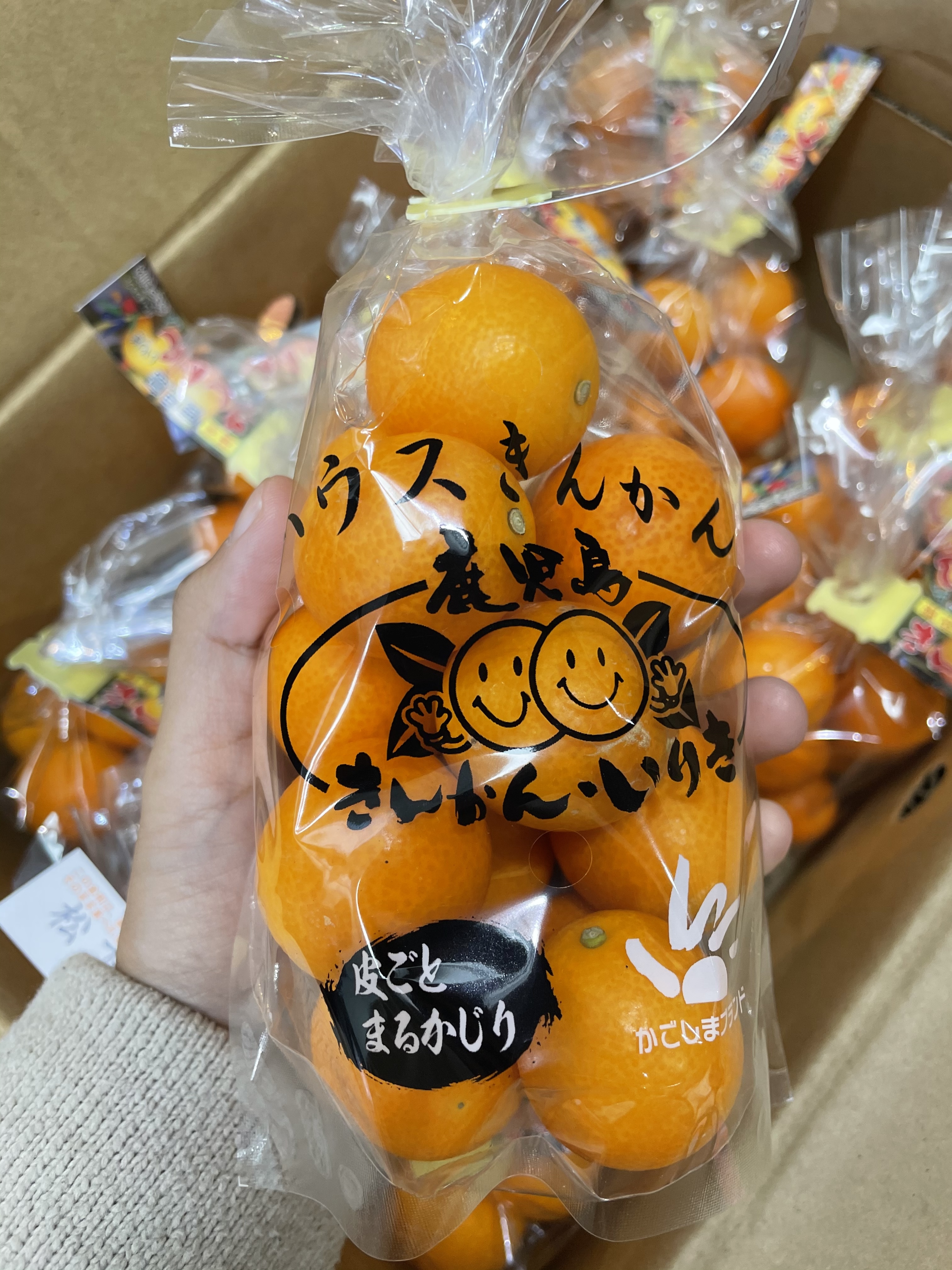 🇯🇵鹿兒島桔仔🍊
