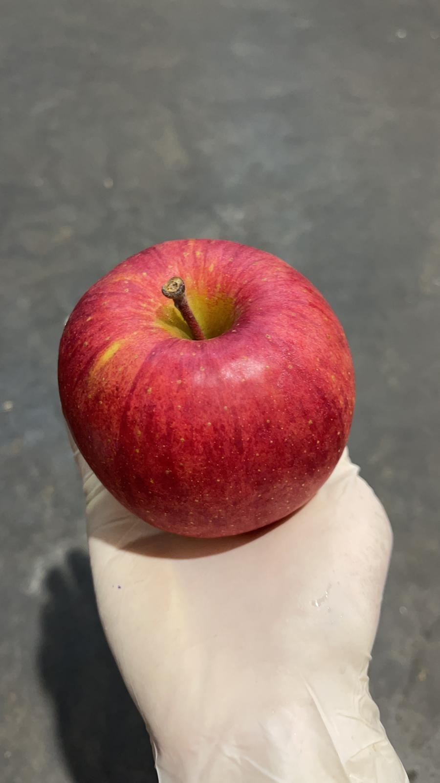 🇯🇵🍎青森紅富士