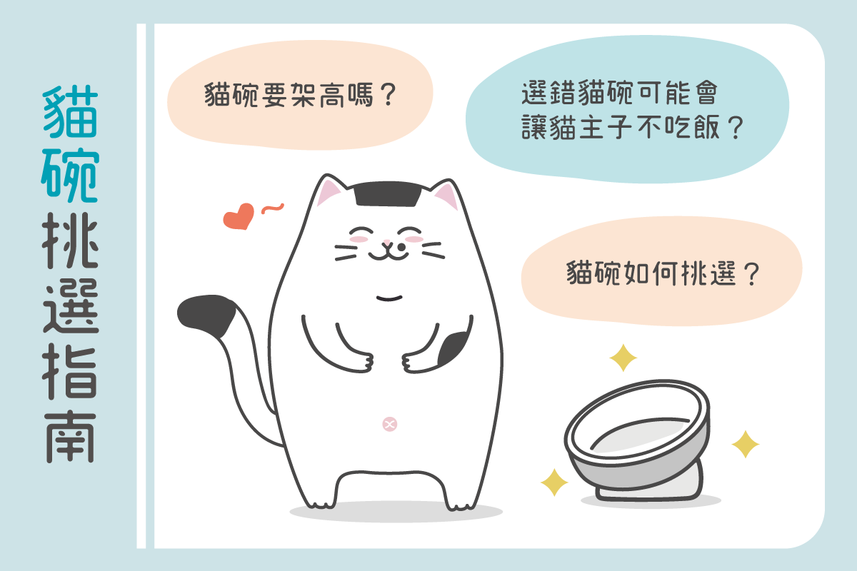 貓碗挑選指南