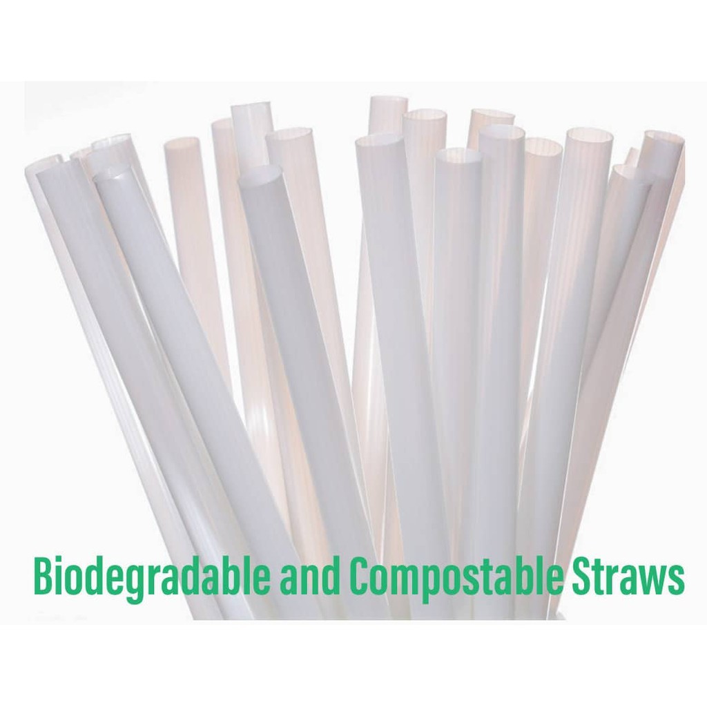 BIOCOM PLANT BASED STRAW (W6mm x L210mm) NORMAL