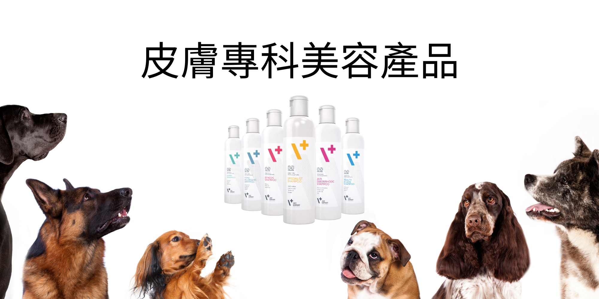 VetExpert, 狗狗, 皮膚專科美容產品