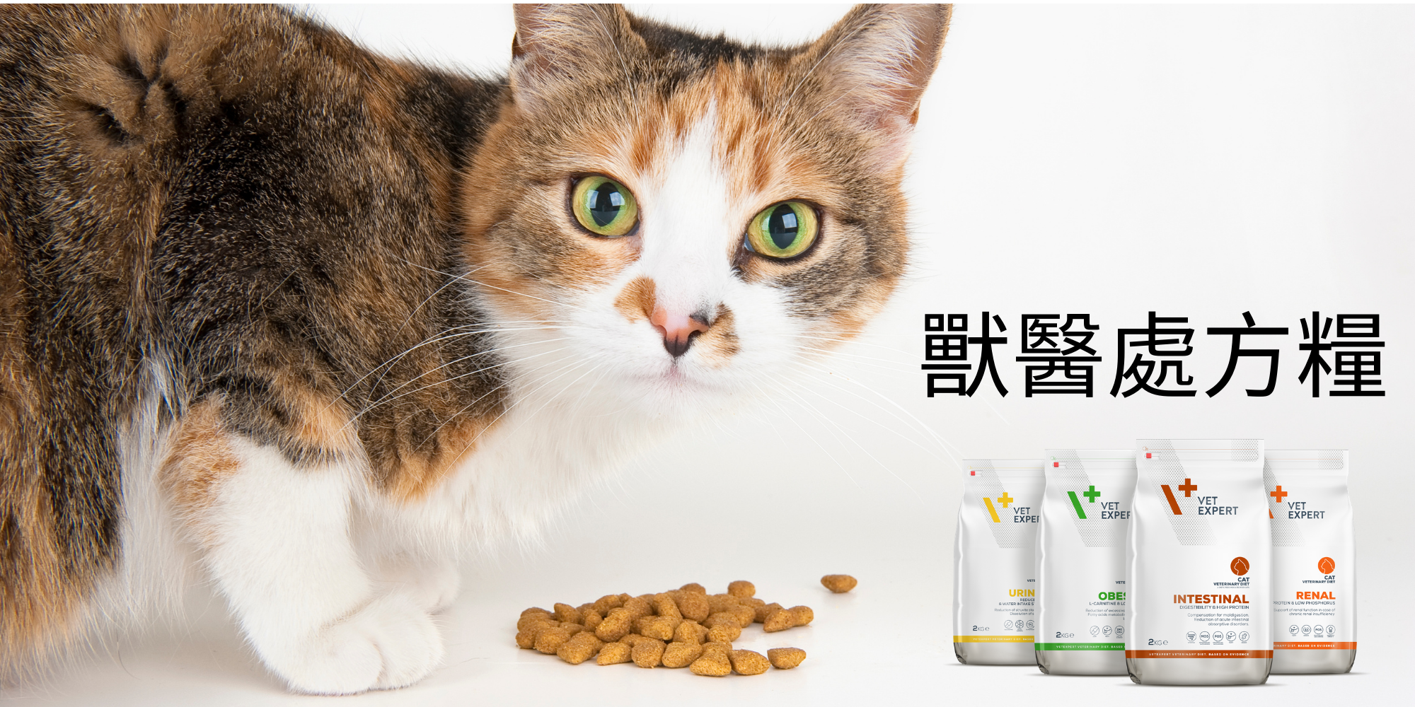 VetExpert, 貓貓, 獸醫處方貓糧