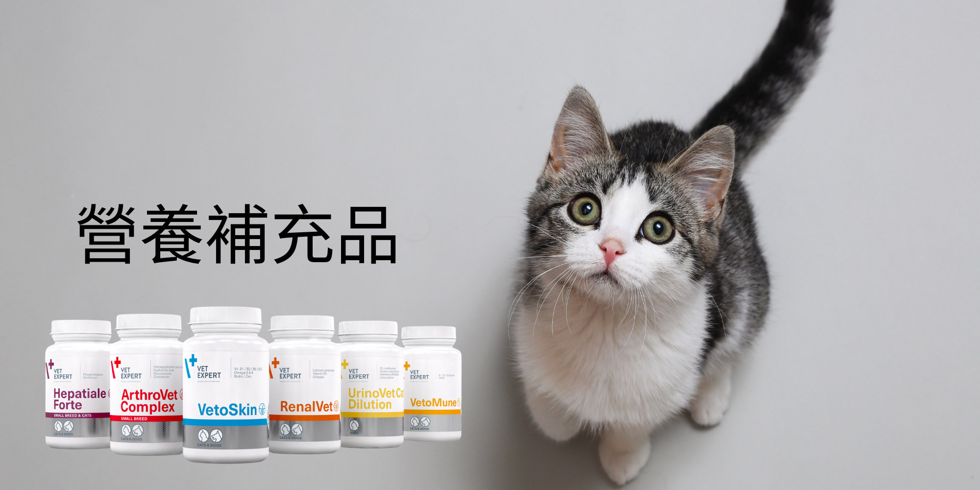 VetExpert, 貓貓, 營養補充品