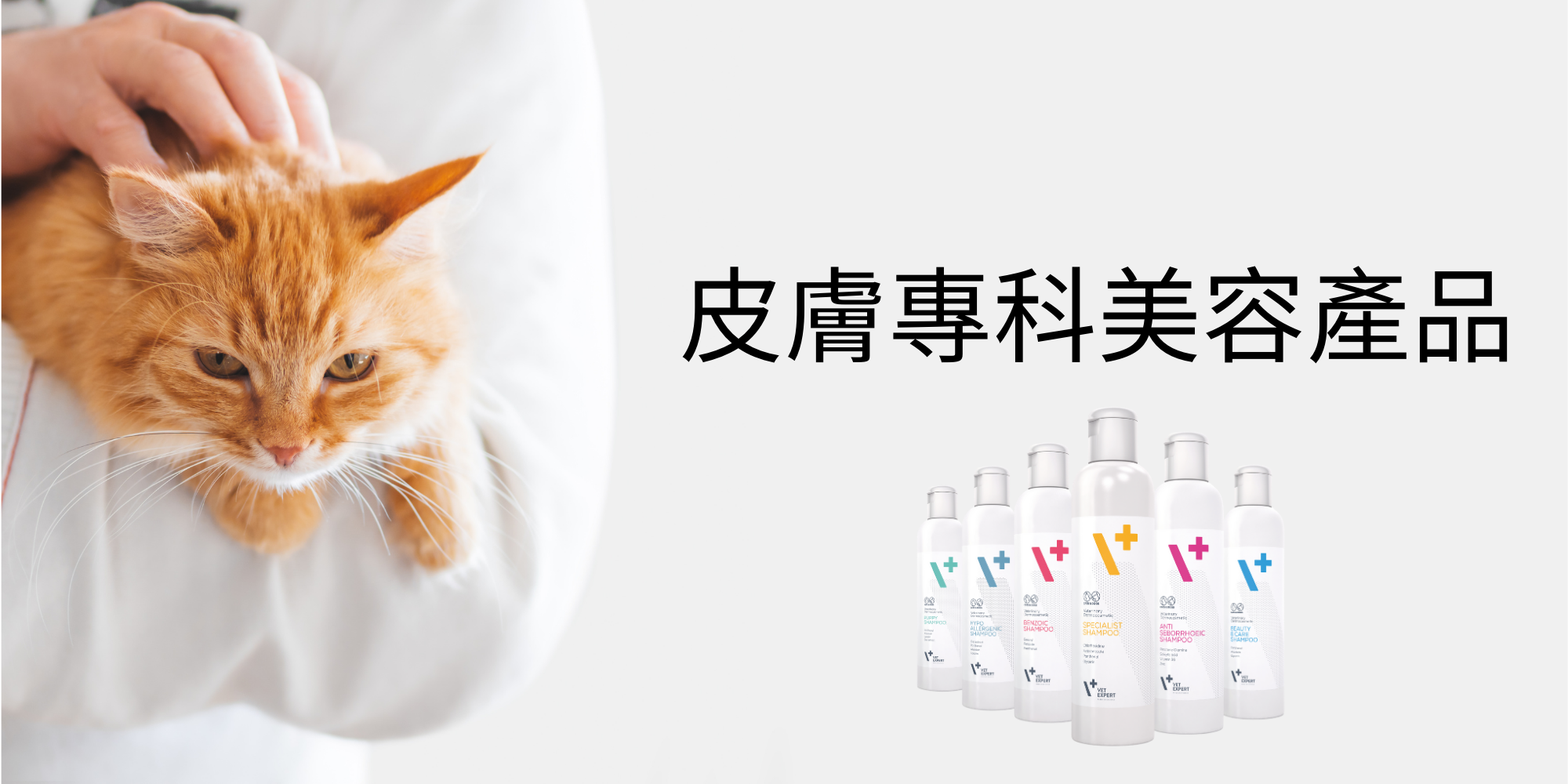 VetExpert, 貓貓, 皮膚專科美容產品