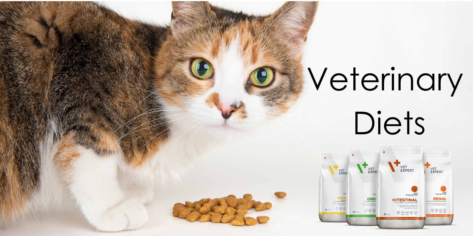 VetExpert, Veterinary Cat Diets