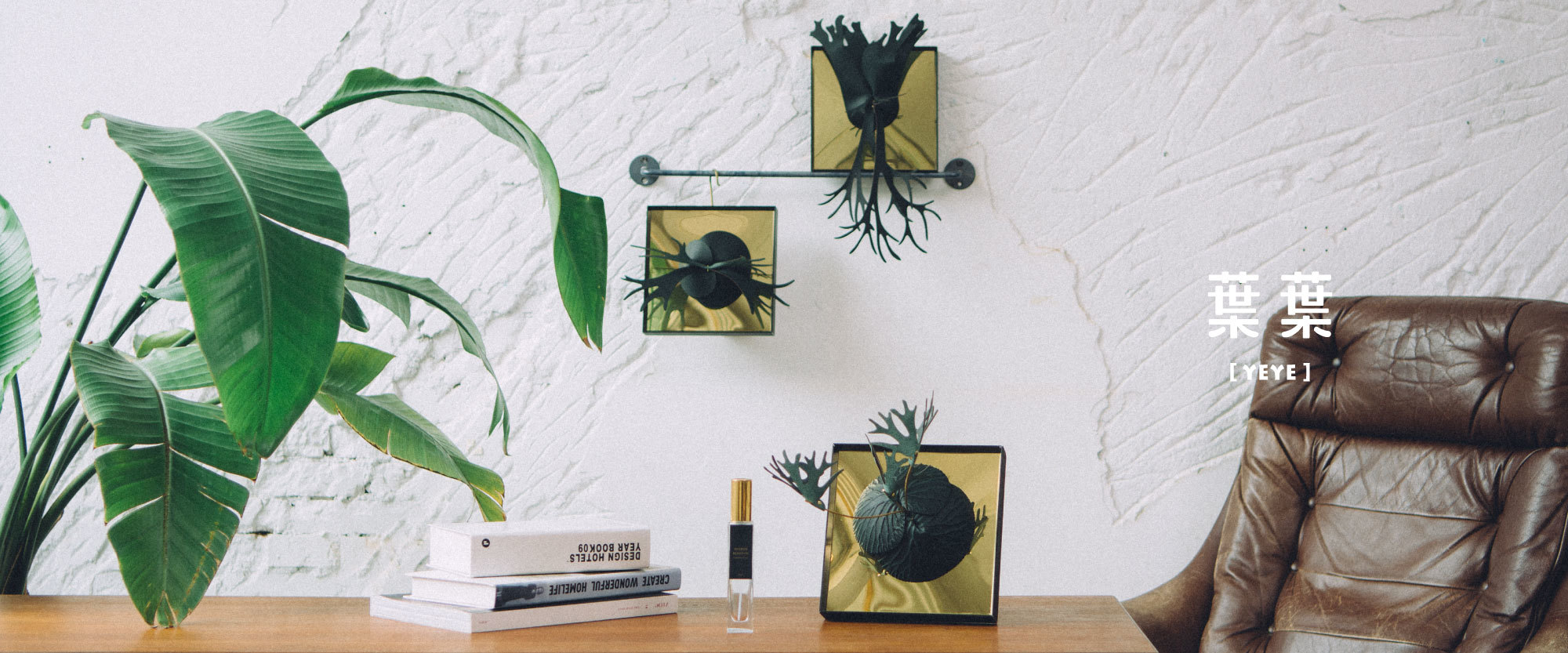 香氛鹿角蕨搭配北歐風格空間