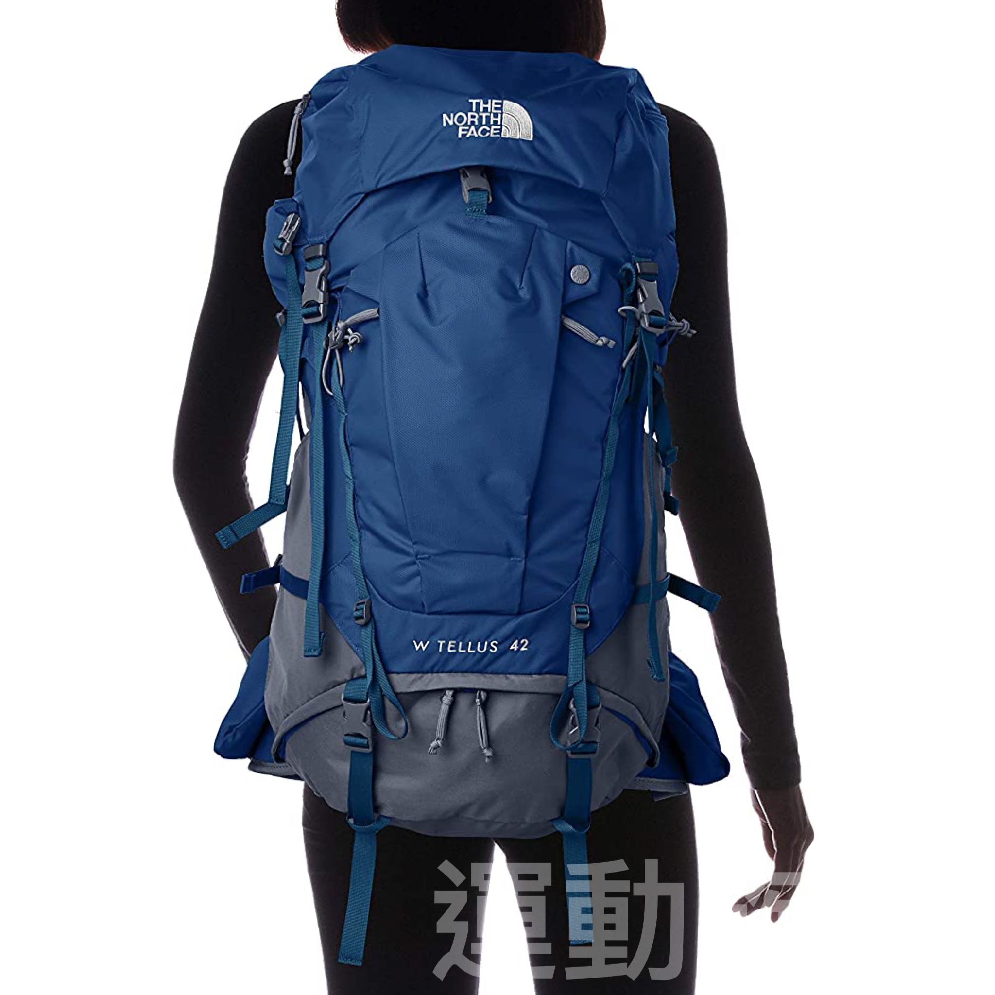 極美品 THE NORTH FACE W Tellus42 バックパック 黒（レディース