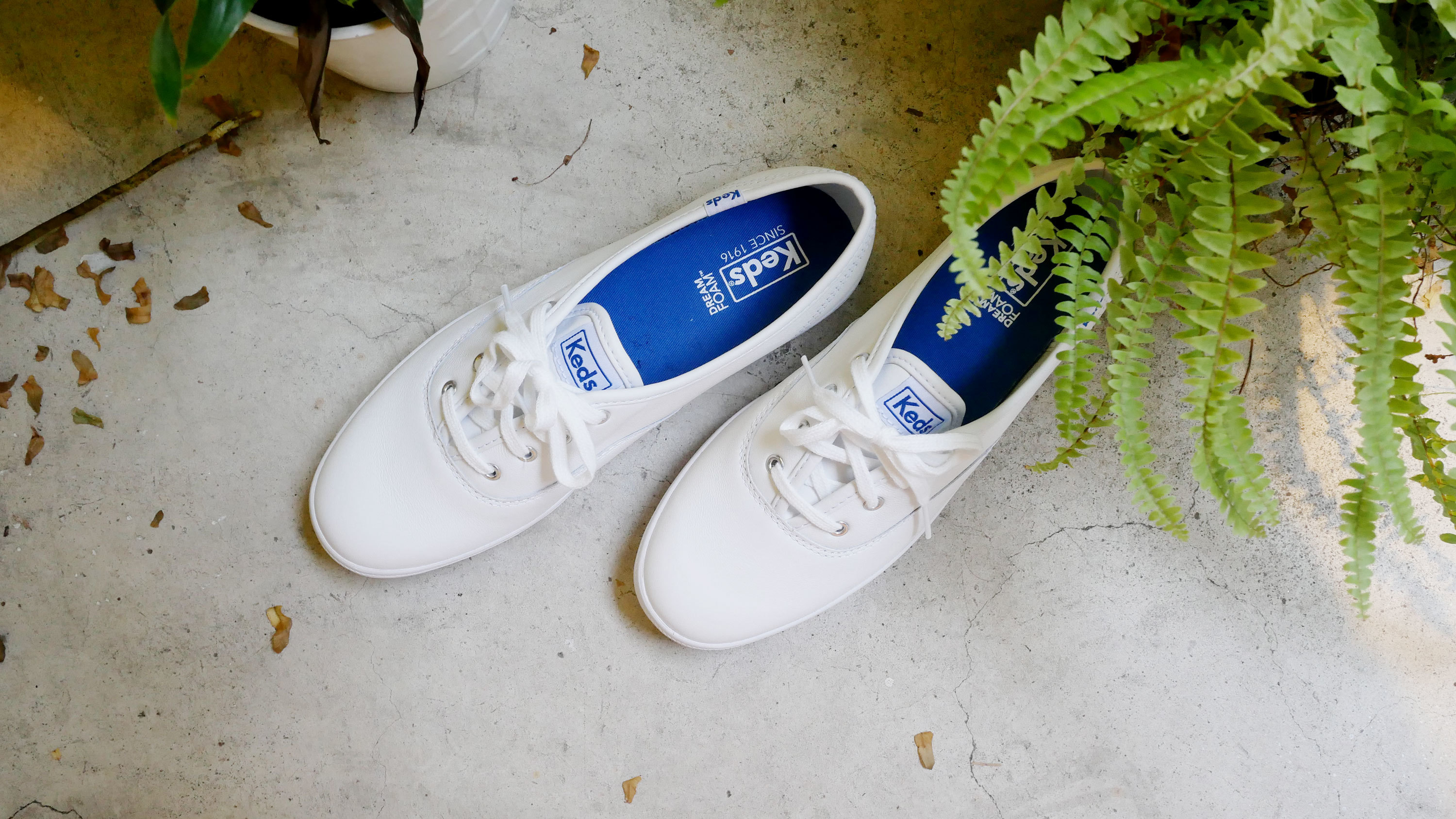 KEDS是女孩們最適合的必備款式