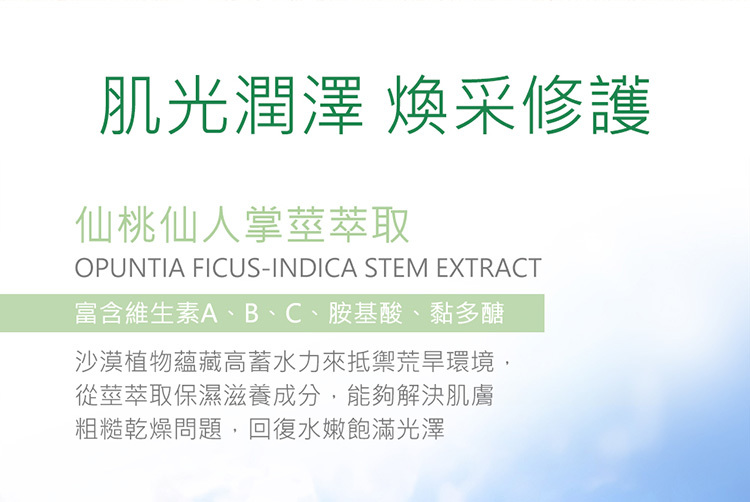 Jealousness - 仙人掌保濕亮白面膜150g