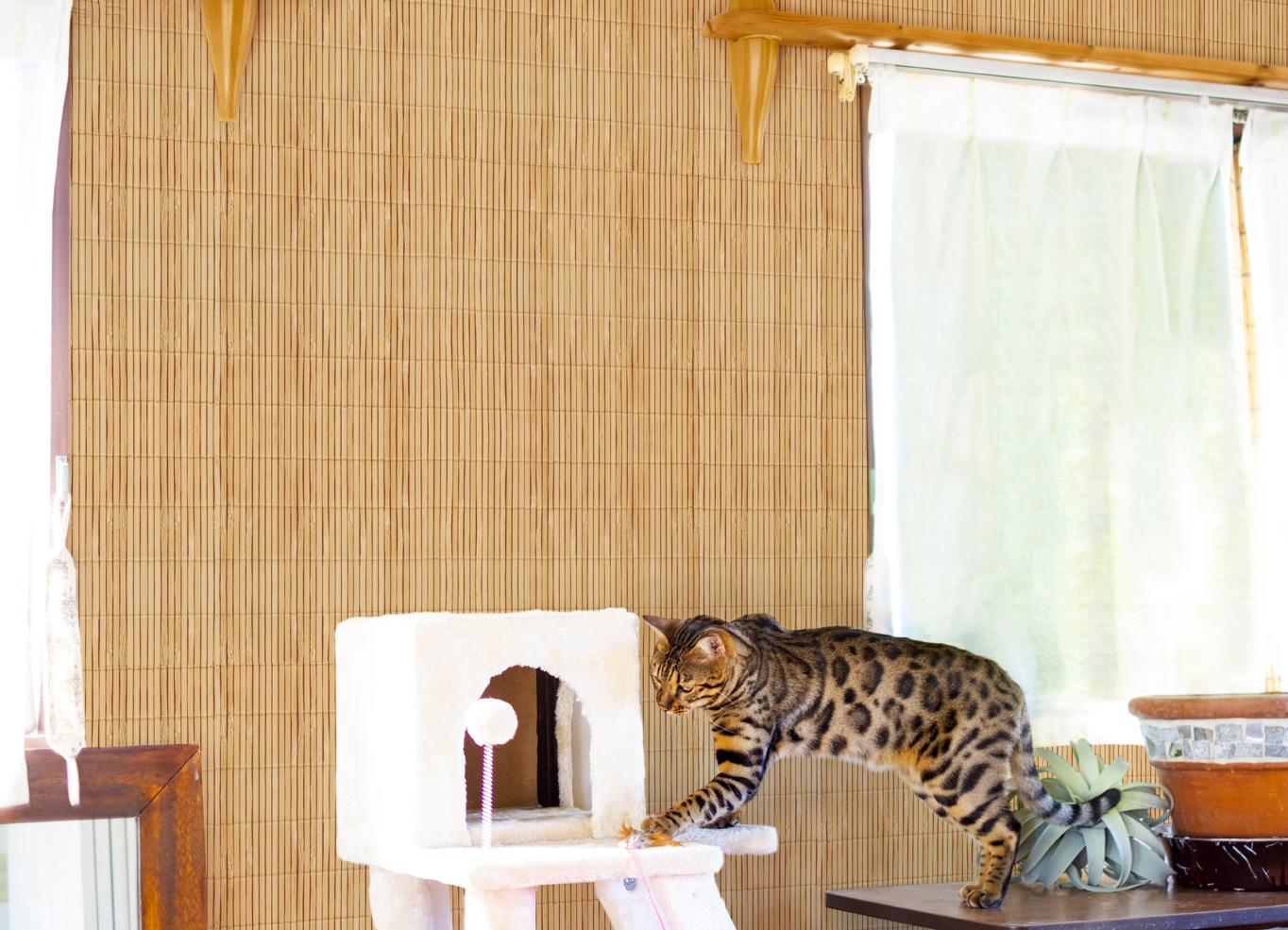 美牆貼貼//微風竹編(5/10/20片裝)