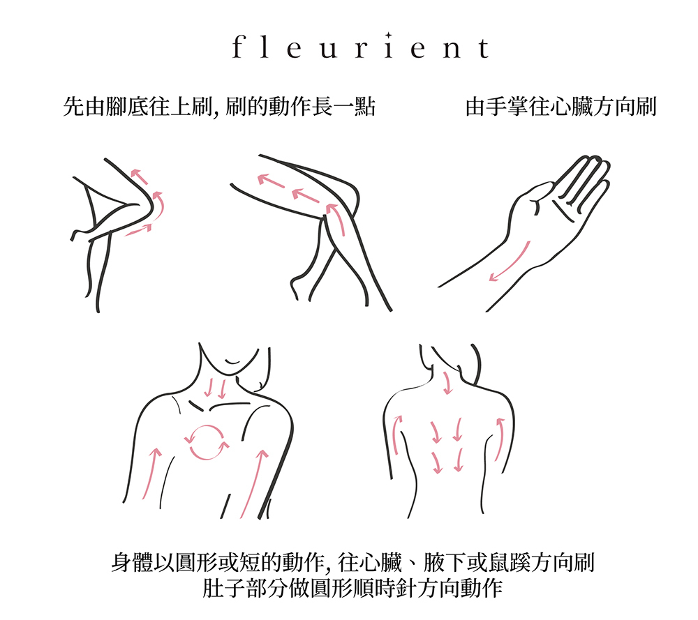 乾刷先從四肢, 順著淋巴往心臟方向刷