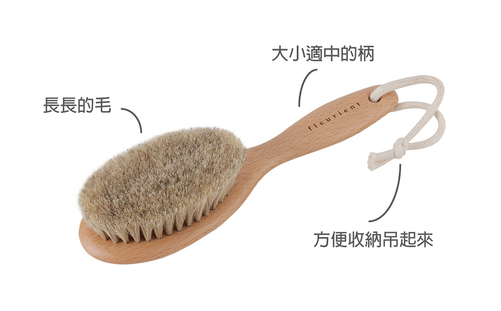fleurient, 乾刷, 排毒,療法, 哪裡買. 芙樂莉, 推薦, 刷子