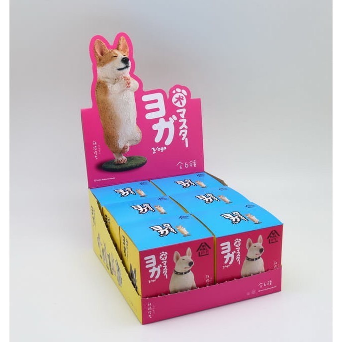 Animal Life 狗瑜珈大師 [單盒]