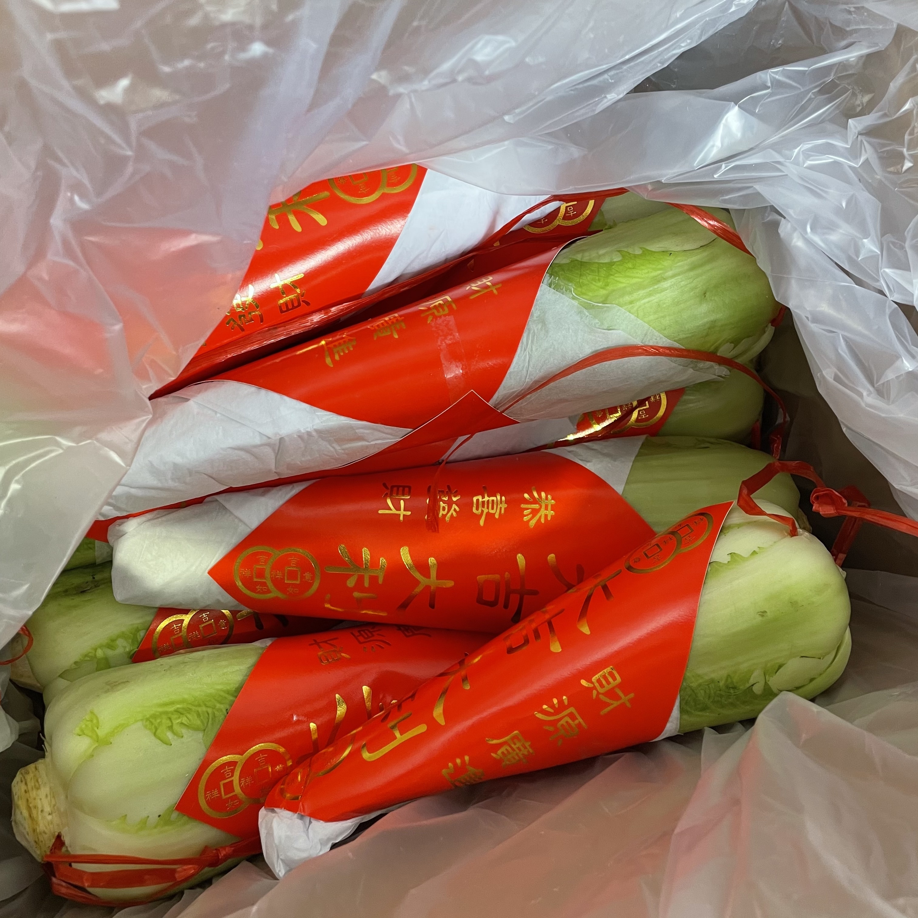 大吉大利霸州紹菜🧧[按重量出售]