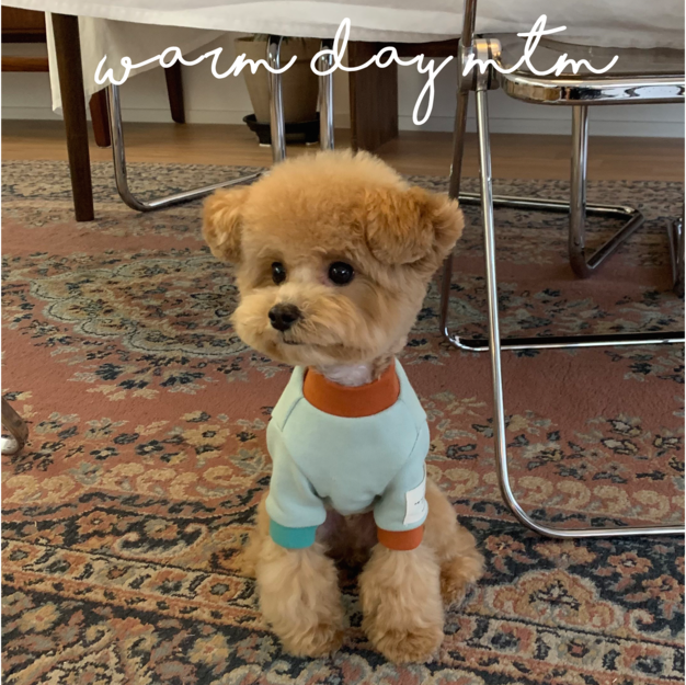 溫暖好日子口袋T-Shirt (薄荷柳橙)