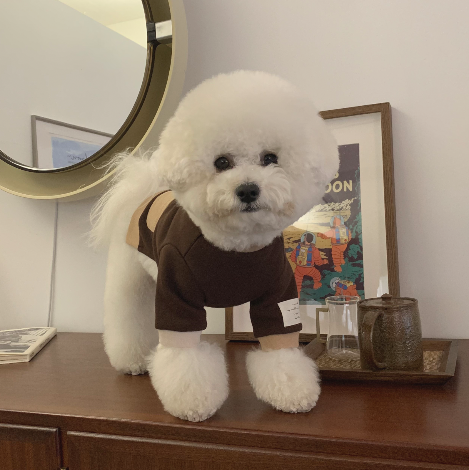 Amor Tui Warm Day mtm_Brown Beige