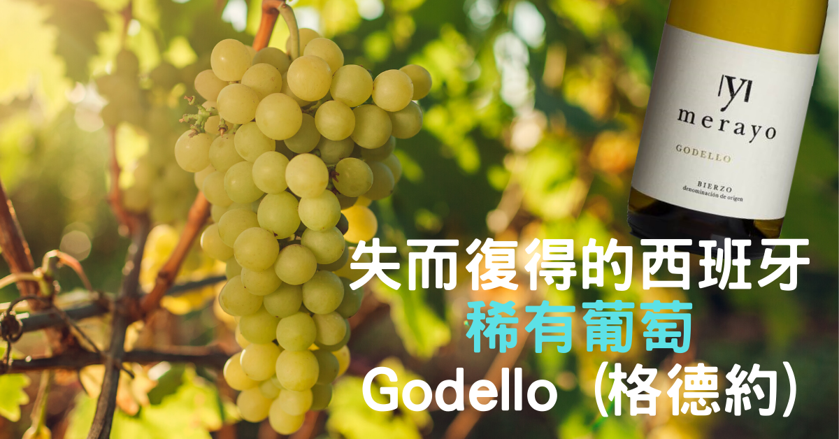 Godello Grape