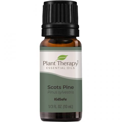 Plant Therapy 歐洲赤松 (Scots Pine) 精油（兒童安全）-10ml