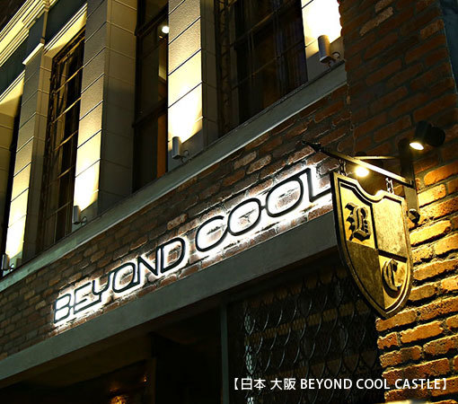 Beyond Cool Castle shop