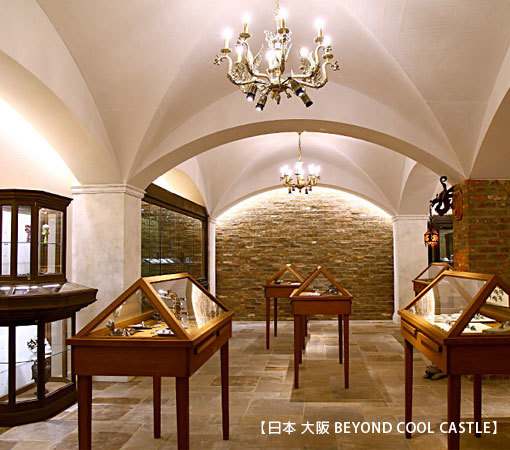 Beyond Cool Castle shop's photo