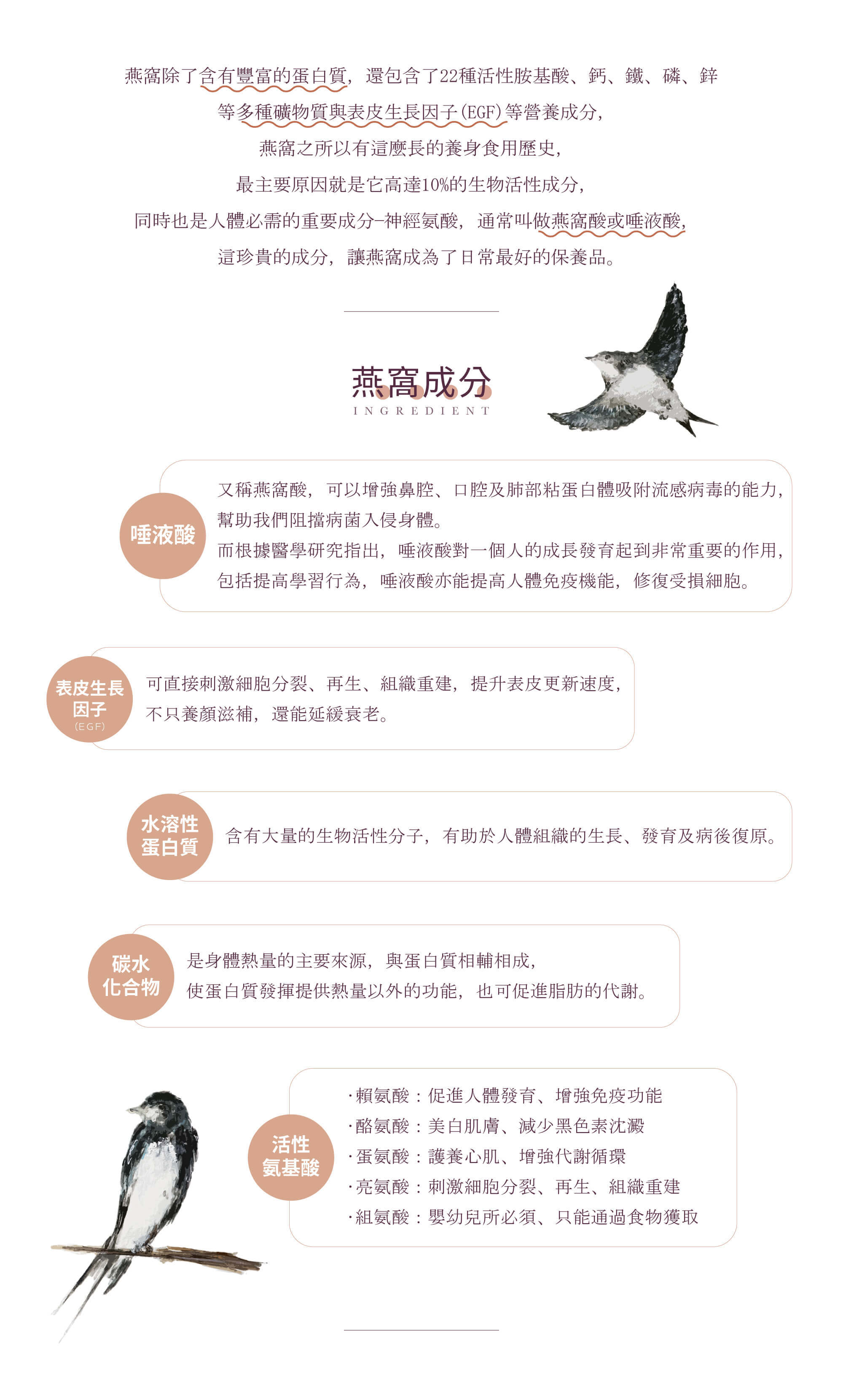 燕窩除了含有豐富的蛋白質，還包含了22種活性胺基酸、多種礦物質與表皮生長因子(EGF)等營養成分，燕窩含高達10%的生物活性成分，同時也是人體必需的重要成分-燕窩酸(唾液酸)，不管是養顏護膚、成長發育、生津潤肺、開胃補腎等。