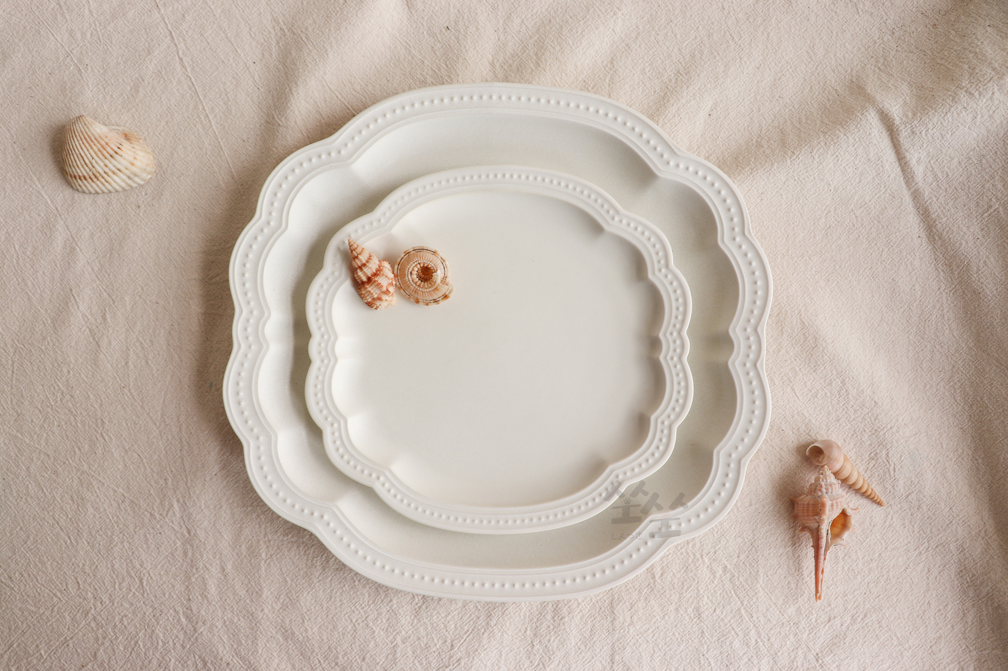 日本 美濃燒 輪點 雲朵盤 珍珠白