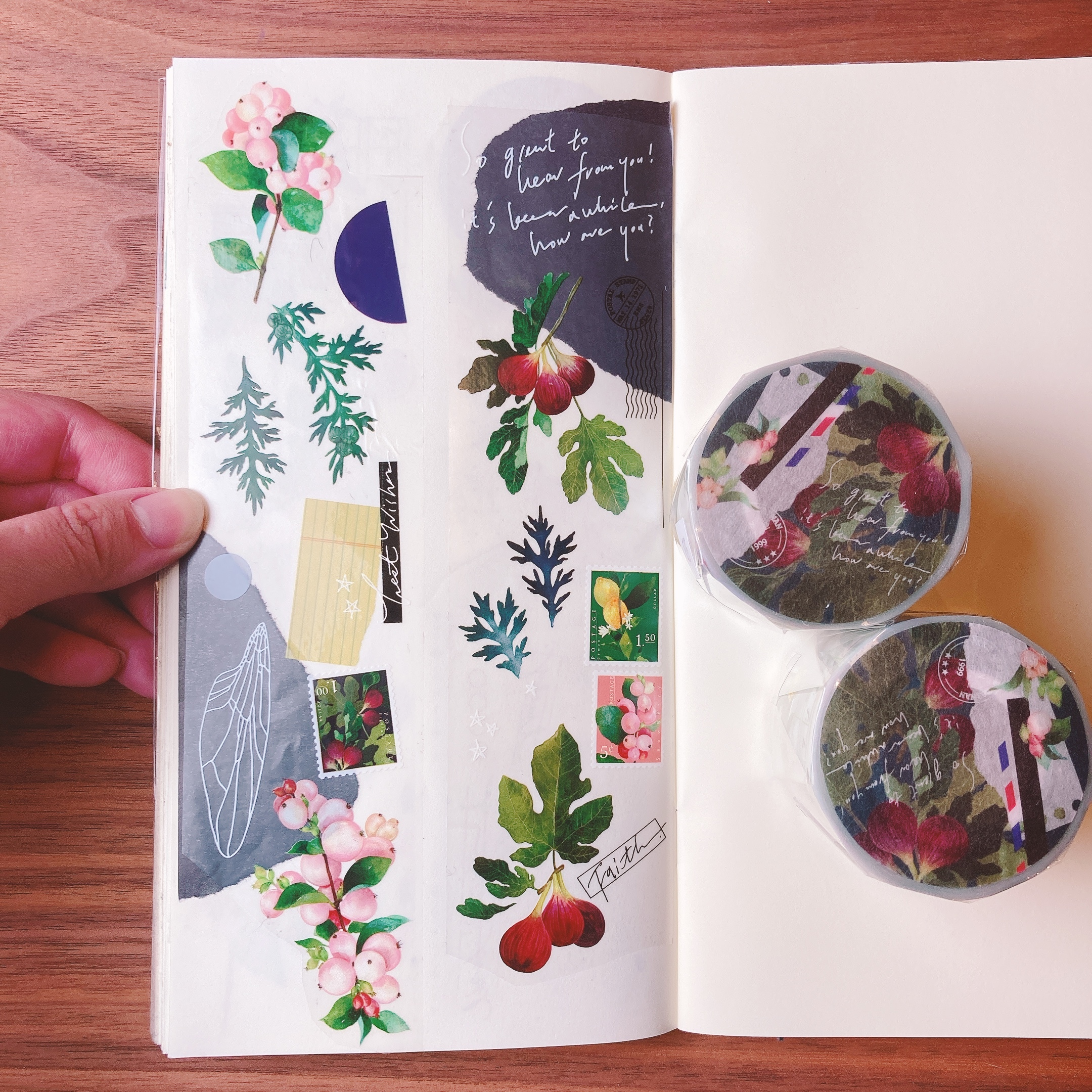 羊君｜蒔果序 PET 紙膠帶