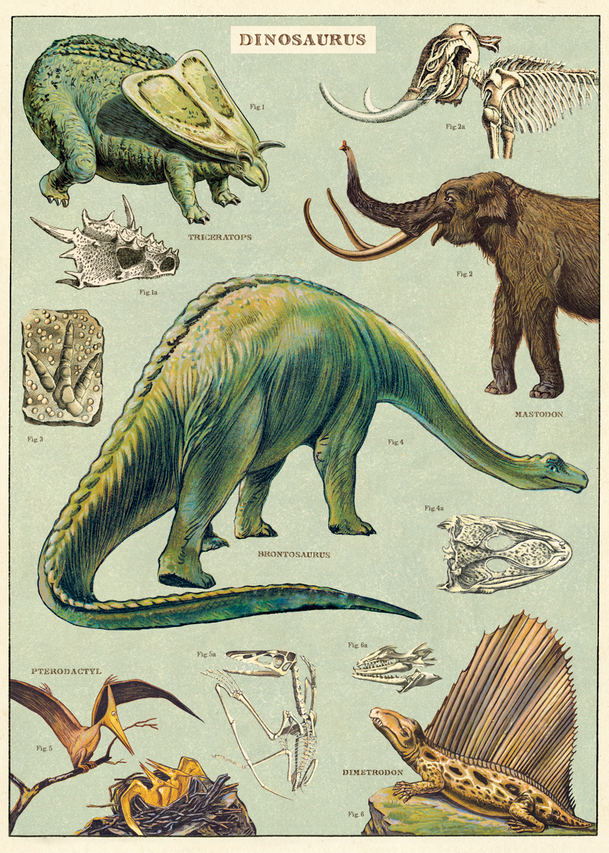 Cavallini｜美國 Cavallini & Co.包裝紙/海報 - 恐龍 Dinosaurus