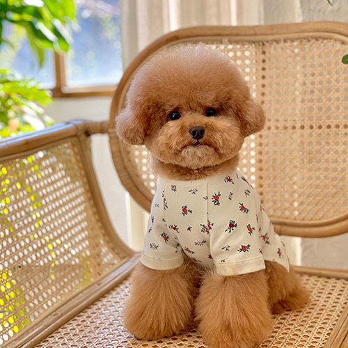 DearMy Mom 春日小花舒棉T-Shirt