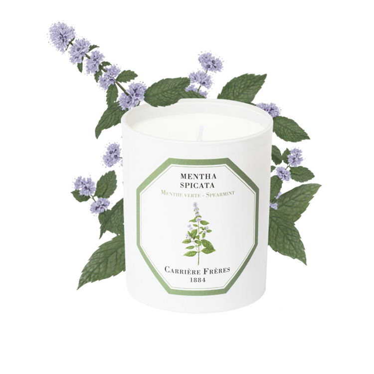 Carrière Frères  薄荷香氛蠟燭