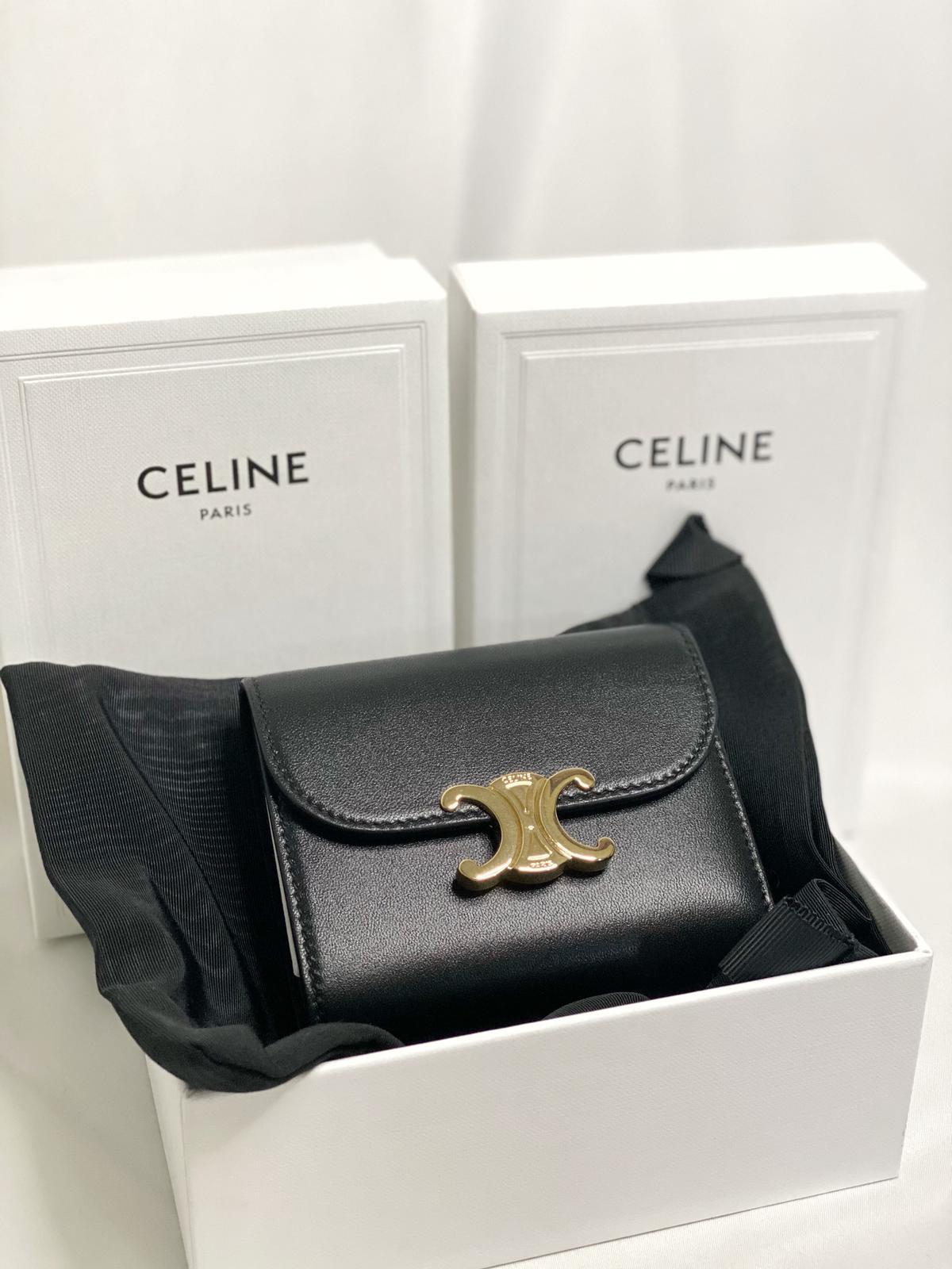 Celine Triomphe Small Flap Wallet in Shiny Calfskin