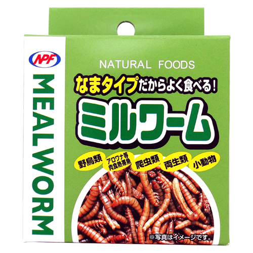 NPF 罐裝麵包蟲 - 35g