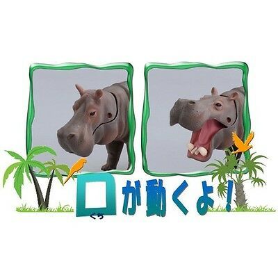 Ania動物系列模型AS-06河馬