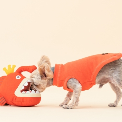 Tails & Me 玩具 - hahn the lanternfish