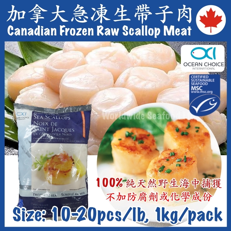 Frozen Canadian Raw Scallop Meat 10/20 pcs/lb I.Q.F. 1