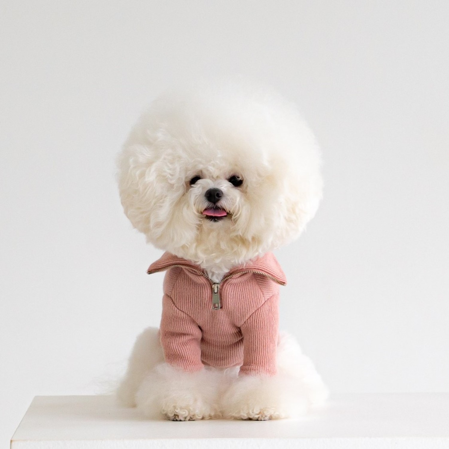 Disney Zipper線衫（蒂蒂）