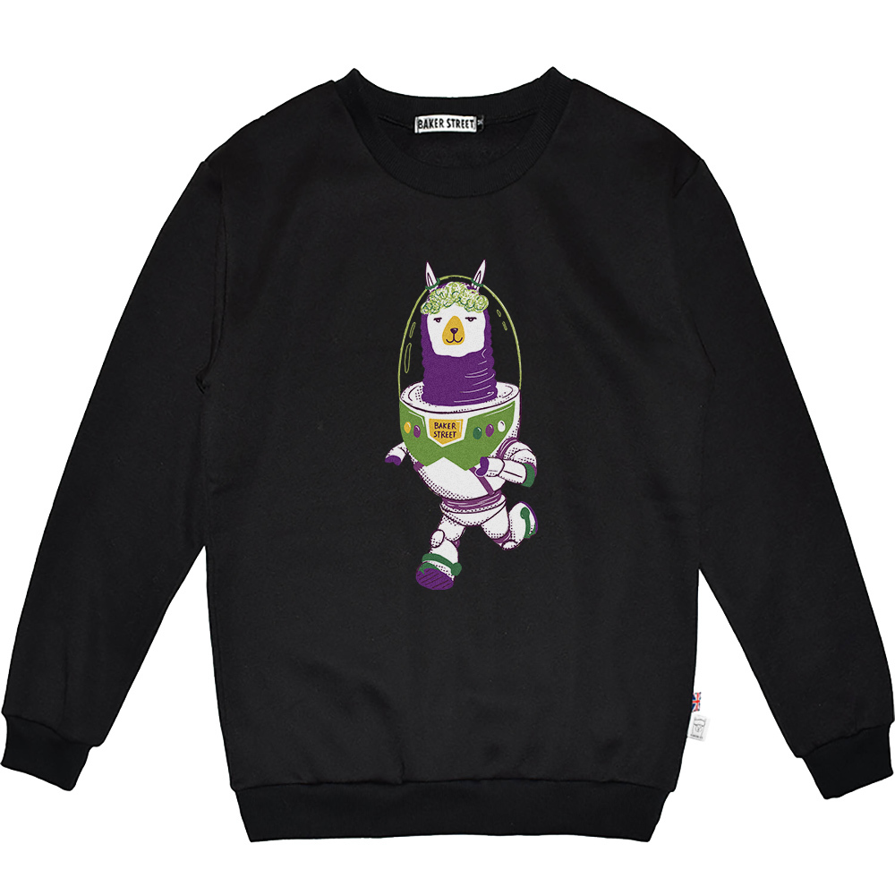 Buzzpaca  巴斯駝 高磅數長袖圓T