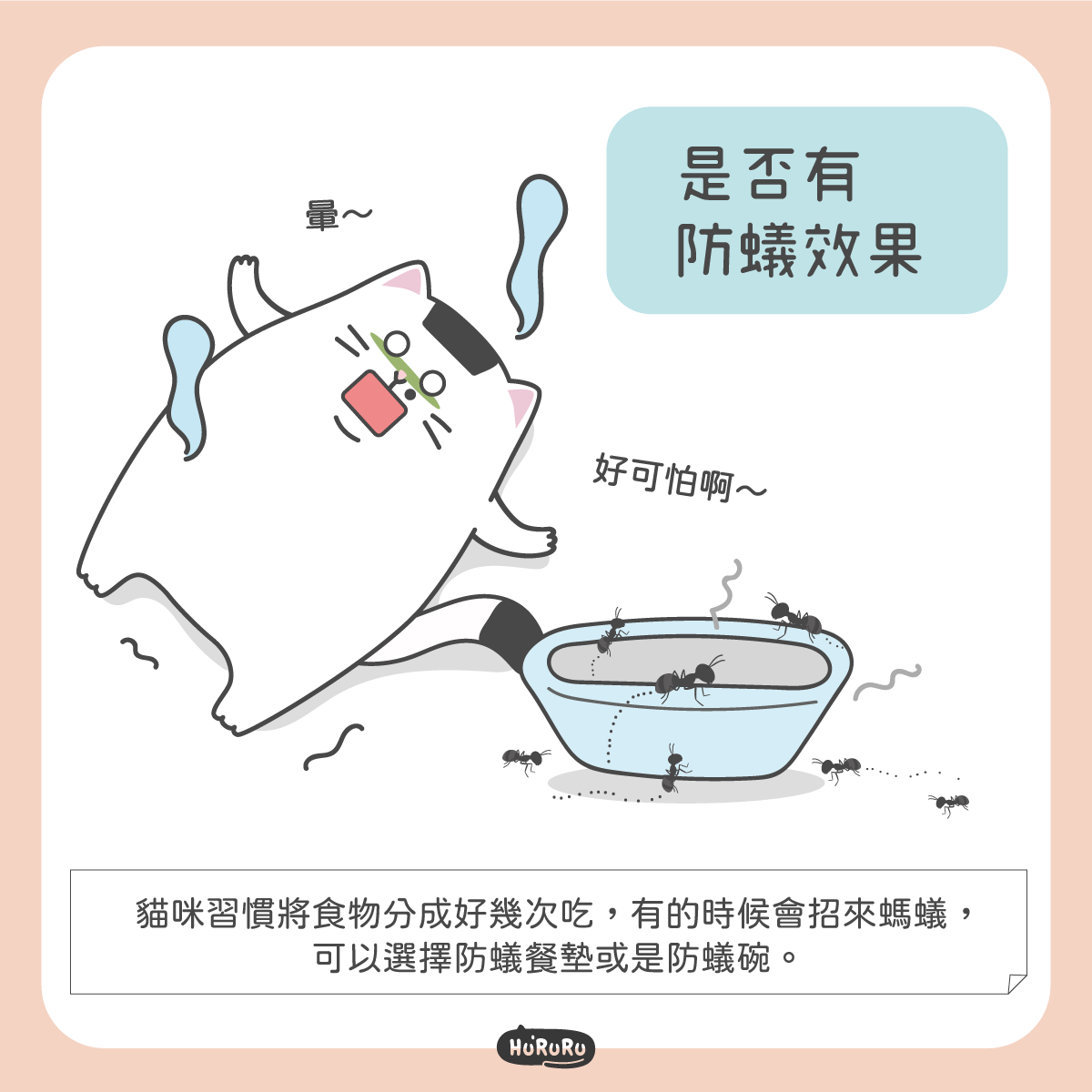 貓碗是否有防蟻效果