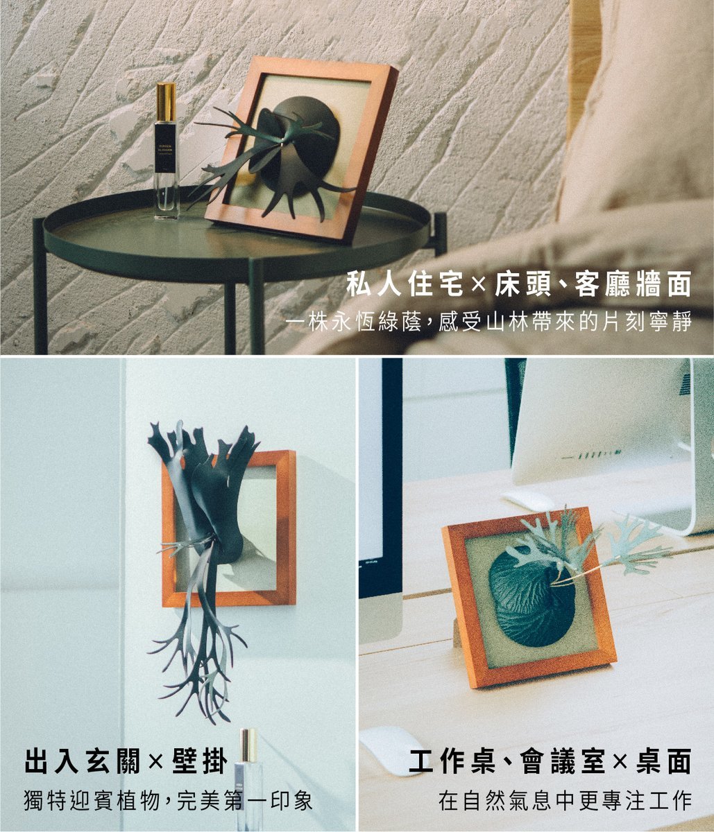 可壁掛 可擺放於桌面 適用不同生活場景
