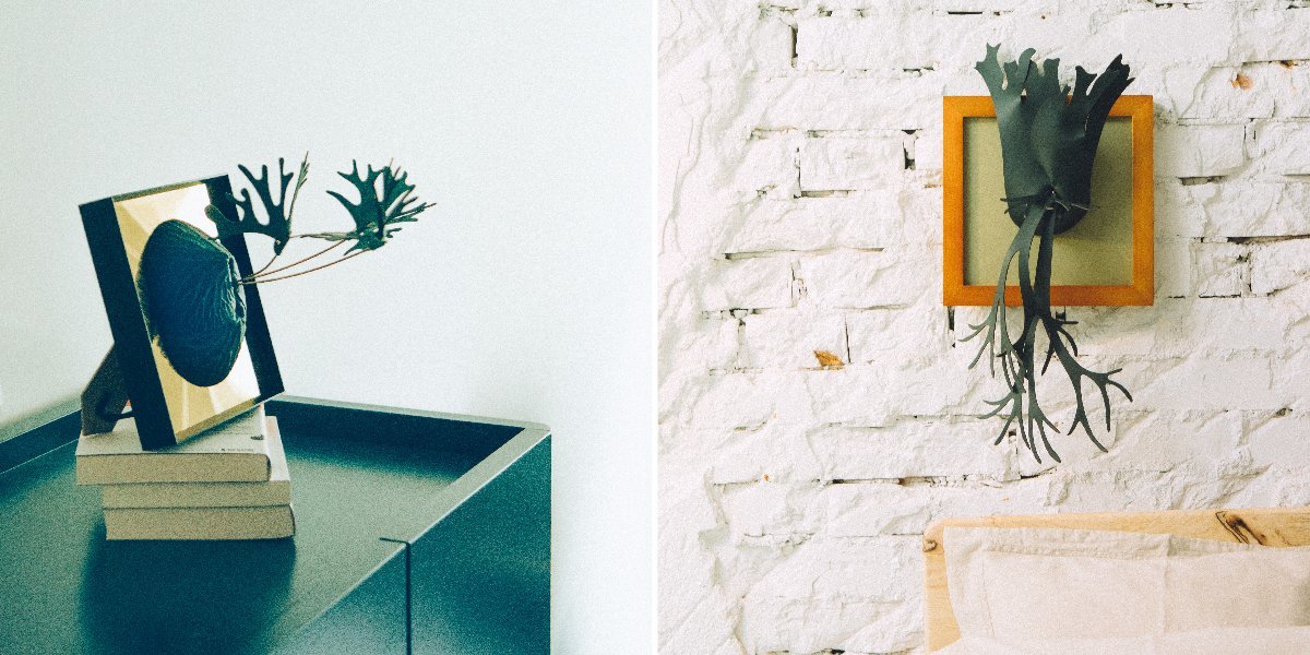 書架、床頭擺放情境