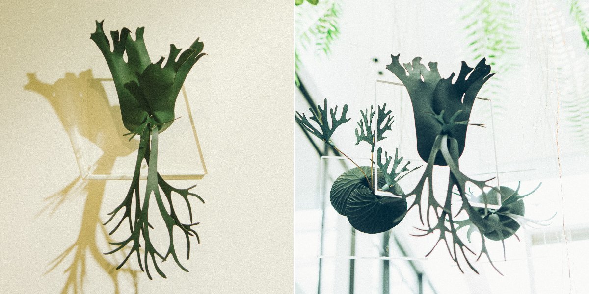 透明框可壁掛、可懸空吊掛