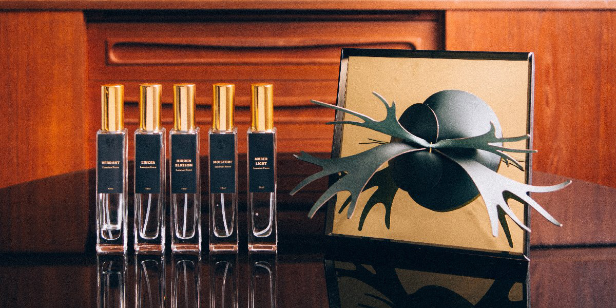 5款空間噴霧與香氛鹿角蕨展示