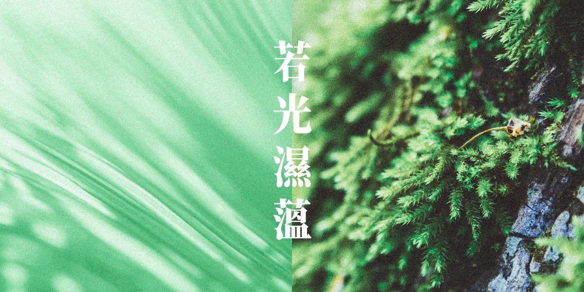 若光+濕蘊香氛示意